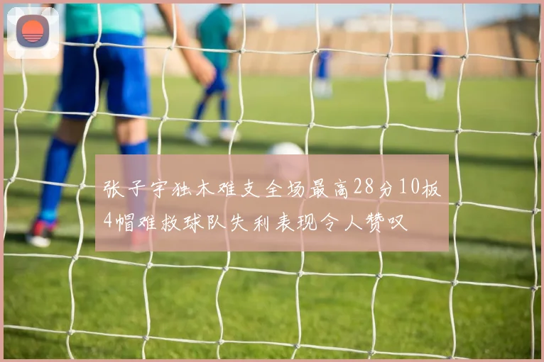 张子宇独木难支全场最高28分10板4帽难救球队失利表现令人赞叹