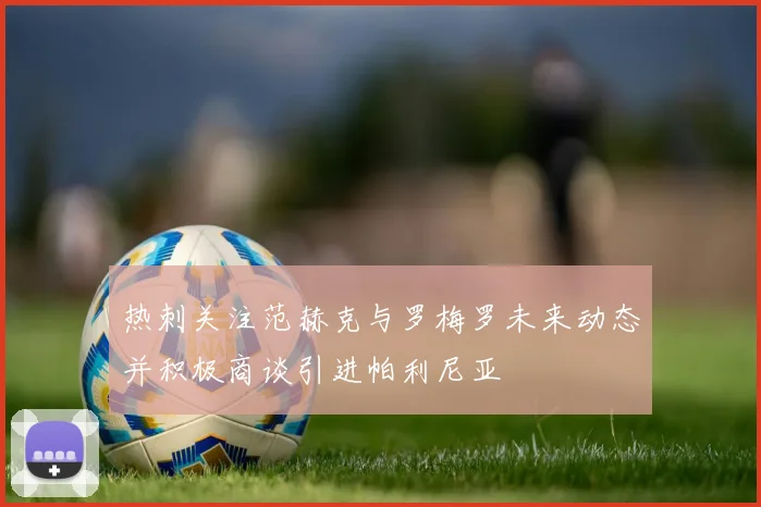 热刺关注范赫克与罗梅罗未来动态并积极商谈引进帕利尼亚